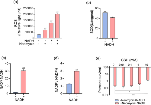 Figure 6. NADH sensitizes ATCC15947 to neomycin killing through inducing imbalance of oxidative – antioxidative system. (a) Changes in ROS levels with effect of neomycin or NADH in ATCC15947. (b) Activity of SOD were detected with and without 3 mM NADH. (c) and (d) NADH affected the ratio of NAD+/NADH and NADP+/NADPH. (e) The concentration effect of GSH on the bactericidal efficacy of 3 mM NADH combined with 30 μg/mL neomycin. Data are presented as mean ± SEM (n = 3 biological replicates). *p < 0.05.**p < 0.01. ***p < 0.001.