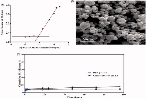 Figure 3. (A) Critical micelle concentration of PEG-AcCMC-SN38. (B) Field emission-scanning electron microscopy (FE-SEM) image of PEG-AcCMC-SN38 self-assembled nanoparticles. (C) Release profile of SN38 from PEG-AcCMC-SN38 self-assembled nanoparticles in PBS (pH: 7.4) containing 30% of FBS and citrate buffer (pH: 5.5) for 96 h.