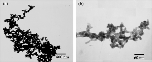 Figure 5. TEM images of some aggregated products aging for 24 h (a) Ag nanoparticle chains (b) Ag2S nanoparticle chains.