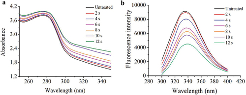 Figure 7. (a) UV absorption spectra of MP from mandarin fish exposed to different APPJ treatment times, (b) Intrinsic emission fluorescence spectra of MP from mandarin fish exposed to different APPJ treatment times.