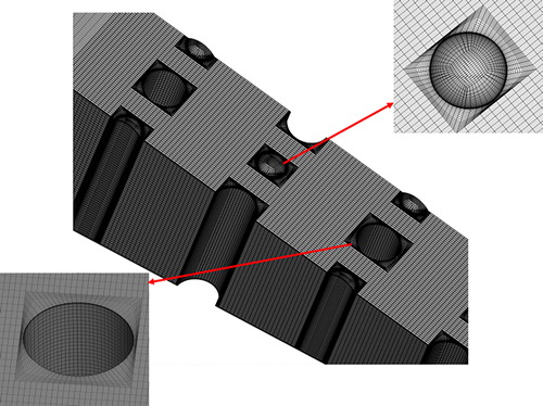 Figure 6. The mesh details.