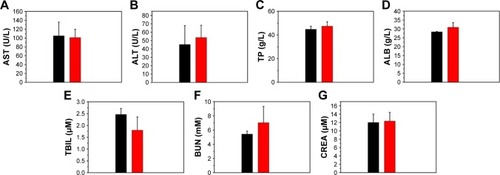 Figure 12 Biochemical analysis of mice at 1 week post-injection of normal saline (black bar) and the Fe3O4@mSiO2/PDDA/BSA-Gd2O3 nanocomplex (red bar).Notes: (A) Alanine transaminase (AST), (B) aspartate transaminase (ALT), (C) total protein (TP), (D) albumin (ALB), (E) total bilirubin (TBIL), (F) blood urea nitrogen (BUN), and (G) creatinine (CREA) levels in the blood; (n=3).