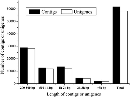 Figure 1. Assembly length distribution of contigs and unigenes in Euphorbia kansui.