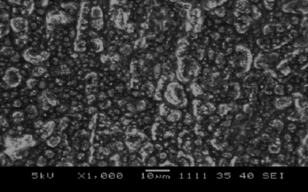 Figure 1 SEM of Pt/polypyrrole-ferrocenium film.