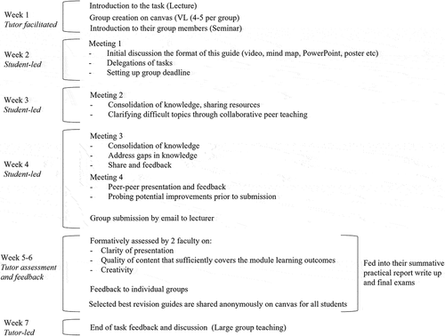 Figure 1. A flowchart describing the timeline and events during the PBL task.