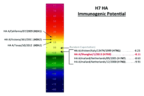Figure 2. Potential immunogenicity of emerging influenza A (H7N9) HA and HA from the current seasonal vaccine and H7 vaccines. The number of HLA ligands (putative T cell epitopes) per unit protein is plotted on an Immunogenicity Scale. This scale is correlated with observed immunogenicity in retrospective and prospective studies.Citation16,Citation17 The numbers used in this scale reflect the difference between the number of predicted T cell epitopes we would expect to find in a protein of any given size by chance alone (based on an evaluation of more than 10,000 random protein sequences) and the number of putative epitopes predicted by the EpiMatrix System for a given protein. The EpiMatrix Protein Score of an “average” protein is zero. EpiMatrix Protein Scores above zero indicate the presence of excess MHC ligands and denote a higher potential for immunogenicity, while scores below zero indicate the presence of fewer potential HLA ligands than expected and a lower potential for immunogenicity. H7 has fewer HLA ligands than expected, which is reflected in its negative immunogenicity score. Seasonal strains of influenza are scored for potential immunogenicity on the left; their scores are much higher than H7N9.