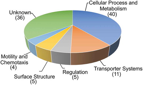 Figure 2. Functional distribution of in vivo repressed (ivr) genes of V. cholerae. Shown are ivr genes identified with the TetR-controlled recombination-based screening technology, allocated in functional groups by their proposed function according to KEGG (http://www.genome.jp/kegg/). The number of ivr genes in the respective group is indicated in parenthesis. In case of TRIVET, the pTRIVET suicide vector harbouring a TetR-controlled tnpR allele is integrated next to the res cassette. The tpc cassette is mobilized into the chromosome via Tn10 mutagenesis resulting in transcriptional fusion and control by the chromosomal promotor of geneX. Loss of TetR expression via repression of the geneX promotor results in de-repression of tnpR and irreversible excision of the res cassette causing the same resistance profile as described above (KnR & SucS) to (KnS & SucR).