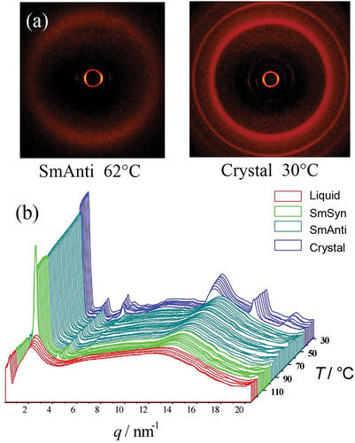 Figure 7. (Colour online) (a) 2-D Powder diffraction patterns in each phase of matter, (b) diffraction profiles as a function of temperature for bimesogen 2b8.