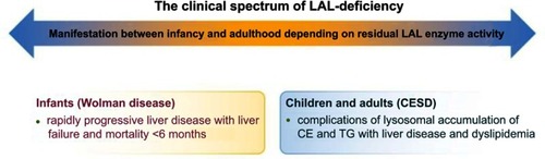 Figure 1 The clinical spectrum of LAL-deficiency. The clinical spectrum of LAL-deficiency ranges from severe variants with early death, previously referred to as Wolman disease, to milder variants manifesting during childhood or adulthood, known as CESD.Abbreviations: CESD, cholesteryl ester storage disease; LAL, lysosomal acid lipase; CE, cholesteryl esters; TG, triglycerides.