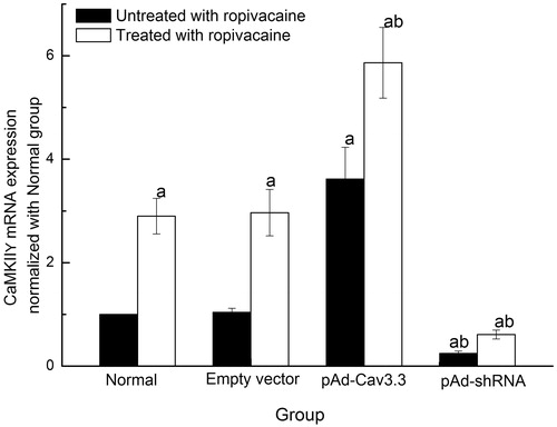 Figure 5. The effects of ropivacaine hydrochloride on CaMKIIγmRNA expression [Display full size % n=6]. ap < .05 vs normal group, bp < .05 vs normal + R group.