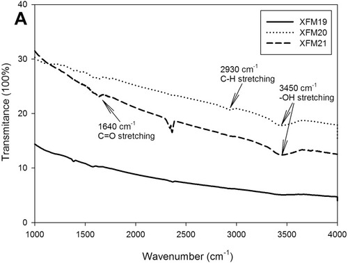 Figure 2 The FTIR spectrum of pristine MWCNTs (XFM19), hydroxylated MWCNTs (XFM20) and carboxylated MWCNTs (XFM21).