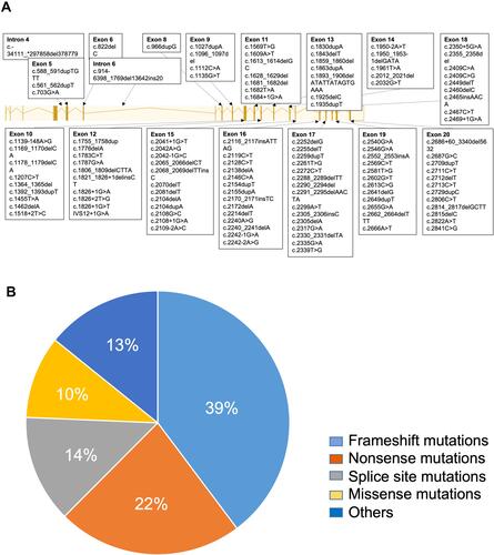 Figure 4 CYLD gene pathogenic variants identified to date. (A) Exonic locations of CYLD pathogenic variants in CCS patients; note a predisposition to the 3’ end of the gene, from which the catalytic domains are encoded. (B) Frameshift and nonsense pathogenic variants resulting in a predicted truncating protein are the most frequent mutation type seen.