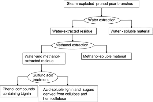 Fig. 1. Component analysis method for steam-exploded BPPT.