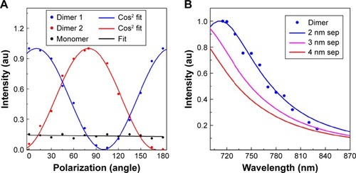 Figure 5 (A) Intensity variation due to polarization (0°–180°) dependency. Experimental values for dimer P1 and P2 (shown in Figure 4 as the dotted points) extracted from polarization dependent images for 0°–180°, matched perfectly with cosine fitting. (B) Wavelength dependency images for dimer particle P1 matched perfectly with finite-difference time-domain simulated dimer spectrum for 2 nm separations.Abbreviation: P, particle.