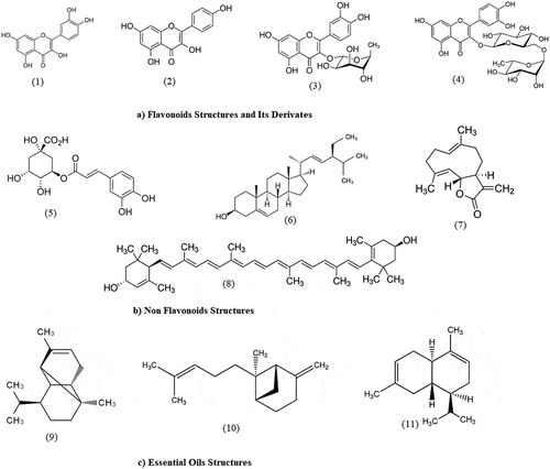 Figure 4. The chemical structure of active compounds in the Cosmos caudatus plant. (1) Quercetin; (2) Kaemferol; (3) Qyercitrin; (4) Rutin; (5) Chlorogenic acid; (6) Stigmasterol; (7) Costunoloide; (8) Lutein; (9) α-Copaine; (10) Bergamotene; (11) ɣ-Muurolene.