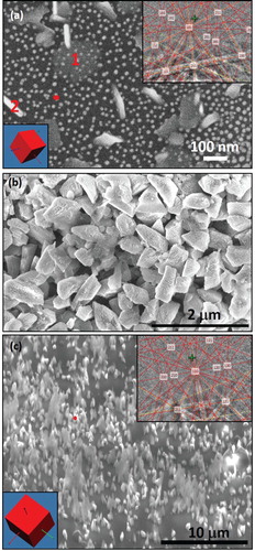 Figure 3. High-resolution SEM micrographs of nanodiamonds and microdiamonds from N-doped samples: (a) nanodiamonds with inset diamond EBSD Kikuchi pattern and orientation (from red dot), it also shows flat nanodiamond nanoplates (indicated as 1) and perpendicular nanoplates of diamond (indicated as 2); (b) microdiamonds from N-doped samples containing twins; and (c) nanoneedles and microneedles from N-doped sample with inset characteristic diamond pattern and orientation from the spot indicated.