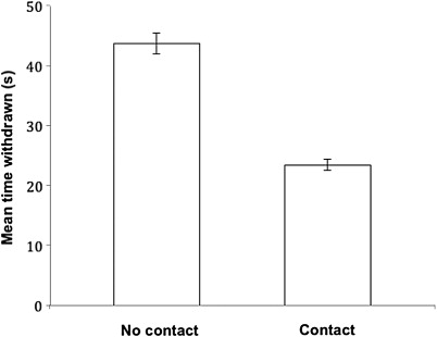 Figure 1 Mean time withdrawn time (± SEM) of the sea anemone Anthopleura aureoradiata either in contact (n = 255) or not in contact (n = 225) with neighbouring sea anemones.