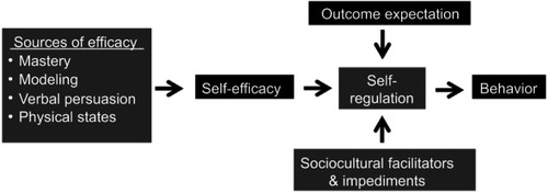 Figure 2 Social cognitive theory.