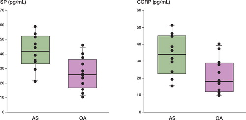 Box plots showing SP (left) and CGRP (right) concentrations in pseudosynovial fluid from patients with aseptic loosening (AS) after THA, and in synovial fluid from patients with OA undergoing primary THA. The box plots show the tenth and ninetieth percentile, the twenty‐fifth and seventy‐fifth percentile, and the median. The concentrations of SP and CGRP in pseudosynovial fluid were higher than in synovial fluid (p = 0.01 and p = 0.02).