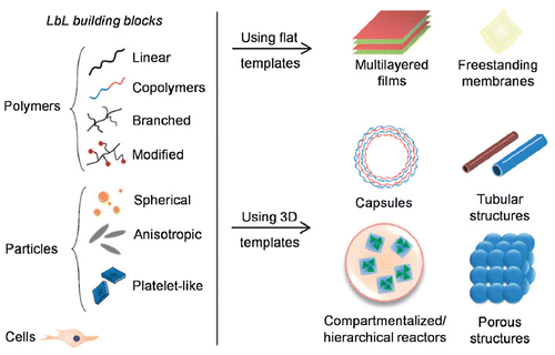 Figure 6. Schematic illustration of the different structures resulted from the different building blocks and substrates used in the LbL process.[Citation130]