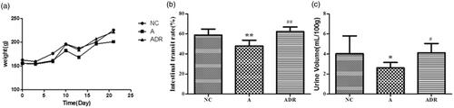 Figure 1. The effects of Chinese yam on body weight, urine volume, and SIP function in rats with antibiotic-induced intestinal dysbiosis. (a) Body weight: Compared with the NC group, the weight gain of the rats in group A was slow and the body weight was light (p < .01); Compared with group A, the weight of rats in the ADR group increased steadily and the body weight increased significantly (p < .05). (b) Urine volume: Diarrhea occurred in rats after administration of antibiotics, and urine volume decreased significantly (p < .05); After the administration of antibiotics and Chinese yam, the incidence of diarrhea in rats was decreased and the urine output returned to normal (p < .05). (c) SIP function: Compared with NC group, the SIP function of group A was weakened (p < .01); Compared with group A, the SIP function of ADR group was improved (p < .01).