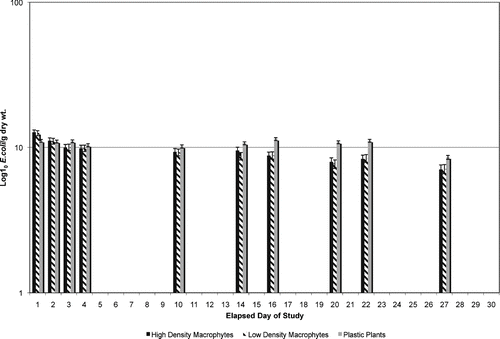 Figure 2 Adherent E. coli concentrations able to be washed/removed from macrophytes from lake water microcosms.