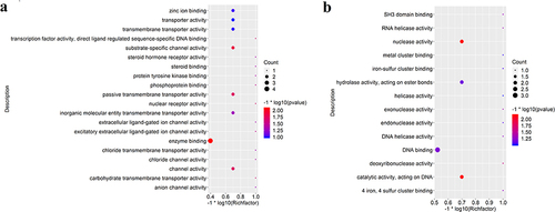 Figure 6 Gene ontology (GO) enrichment analysis of lncRNA-mRNA-miRNA networks. (a) Top 20 significant GO terms on the molecular function level in up-regulated group; (b) top 20 significant GO terms on the molecular function level in down-regulated group; The count and q value were used to measure the size and color of bubbles, indicating the amount and significance of DEGs enriched in these terms.