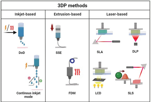 Figure 2. 3D printing methods, divided by inkjet, extrusion, and laser based: drop on demand (DoD); semi-solid extrusion (SSE); fused deposition modelling (FDM); stereolithography (SLA); digital light processing (DLP); liquid-crystal display (LCD); selective laser sintering (SLS). Created with BioRender.com.