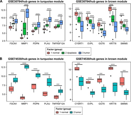 Figure 7 Validation of hub genes in the transcriptional level.