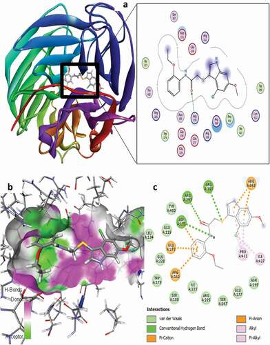 Figure 10. 3D docking view of compound 21 with the H1N1 neuraminidase (PDB: 4B7Q): (a) the best pose of compound 21, (b) 3D hydrogen bond surfaces around the ligand 21, (c) 2D residual interaction of compound 21-complex.