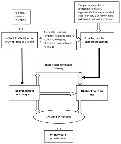 Figure 1 Factors involved in asthma manifestation.