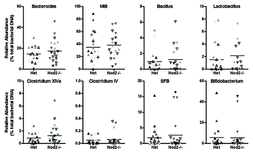 Figure 4. Relative abundance of targeted bacterial groups in the ileum of Het and Nod2−/− littermates. Variation within litters is shown by the different shading of points on each graph.