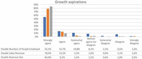 Figure 6. Entrepreneur growth aspirations - survey.