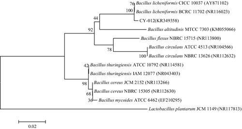 Figure 1. Phylogenetic tree based on 16S rDNA sequences of strain CY-012.