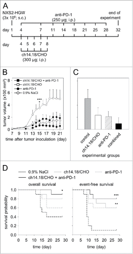 Figure 8. Anti-tumor effects of the combinatorial treatment with ch14.18/CHO and anti-PD-1 antibodies in vivo. (A) Schematic overview of the treatment schedule. The GD2- and PD-L1 expressing murine NB cells NXS2-HGW were injected subcutaneously into A/J mice followed by treatment with ch14.18/CHO in combination with PD-1 blockade. Four days after the last anti-PD-1 application blood samples were collected and mice were killed followed by isolation of splenocytes for evaluation of anti-tumor cytotoxicity. (B) Analysis of tumor growth (closed squares for combinatorial treatment; open squares and closed circles for treatment with ch14.18/CHO and anti-PD-1, respectively). Controls received 0.9% NaCl (open circles). In the case of appearance of having tumor burden, mice were killed ahead of schedule and the data of the last tumor volume measurement were included into subsequent calculation for the respective treatment group. Data are shown as mean values ± SEM. Kruskal-Wallis test: *P < 0.05 vs. ch14.18/CHO group, ***P < 0.001 vs. combined group. (C) Comparison of end point tumor volume was performed at the time point when mice were killed either ahead of schedule or at the end of the experiment (day 32). Mice were treated with ch14.18/CHO in combination with PD-1 blockade (black column), ch14.18/CHO (white column) or anti-PD-1 (white and striped column). Control mice received 0.9% NaCl (gray column). Data are shown as mean values ± SEM. Kruskal-Wallis test, differences between the groups were not significant. (D) Comparison of overall survival (left diagram) and event-free survival probabilities (right diagram) of mice treated with ch14.18/CHO in combination with PD-1 blockade (black solid line), ch14.18/CHO (gray solid line), anti-PD-1 (gray dashed line) or control mice (0.9% NaCl, black dashed line). For overall and event-free survival, death ahead of schedule and a tumor volume of 150 mm3 were defined as event, respectively. Statistical analysis was performed using LogRank test. For overall survival: *P < 0.05 vs. control group. For event-free survival: ***P < 0.001 and **P = 0.01 vs. control.