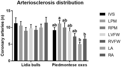 Figure 1. Arterioscelrosis distribution in the seven sampled area of the heart in Piemontese oxen and Lidia bulls. Non-statistically significant differences were recorded in Lidia bulls, while in Piemontese oxen the left papillary muscle was the most affected area compared to left and right atrium. The columns with different superscript letters (a,b) differ significantly (p < .05). IVS: interventricular septum; LPM: left papillary muscle; RPM: right papillary muscle; LVFW: left ventricle free wall; RVFW: right ventricle free wall; LA: left atrium; RA: right atrium.