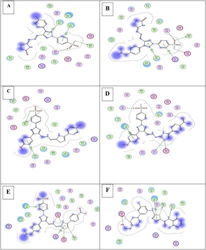 Figure 11. (A) Visual representation (2D) of compound 16a docked with 1M17 active site, (B) Visual representation (2D) of compound 16b docked with 1M17 active site (C) Visual representation (2D) of compound 18c docked with 1M17 active site. (D) Visual representation (2D) of compound 18f docked with 1M17 active site (E) Visual representation (2D) of compound 18d docked with 1M17 active site (F) Visual representation (2D) of dasatinib docked with 1M17 active site.