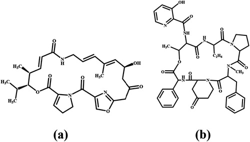 Figure 1. Chemical structure of Virginiamycin M1 (a) and Virginiamycin S1 (b).