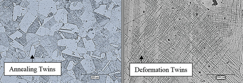 Figure 13. Microstructures of horizontal single belt cast strips of 17Mn–4Al–3Si–0.45C (wt%) alloys (reprinted with permission from Niaz, Isac, & Guthrie, Citation2020c)