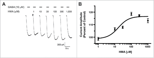 Figure 3. HMA potentiates the hGABA-(A)ρ1 I15'N mutant receptor. (A) Representative responses to increasing concentrations of HMA co-applied with GABA (3 µM) on the hGABA-A ρ1 (I15'N) mutant receptor are shown. (B) Concentration-response profile of HMA potentiation of GABA-mediated current is shown. The resulting HMA EC50 was 16.55 ± 0.16 mM with a Hill coefficient of 1.37 ± 0.71. Data are presented as the mean ± SEM of n ≥ 4 cells.