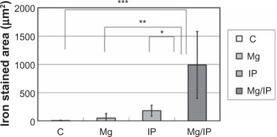 Figure 6 Total iron-stained area (μm2). Group 1 differed significantly from the other three groups with respect to the iron-stained area in muscle tissues (P < 0.05*,**,***). There was no significant difference among groups 2, 3, and 4.