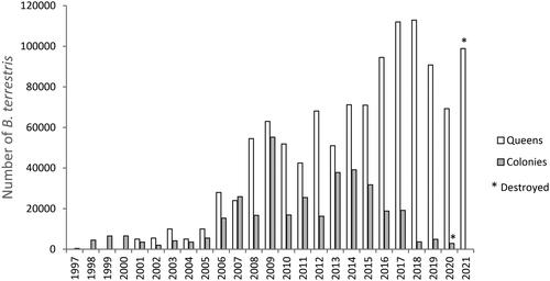 Figure 2. Number of Bombus terrestris imported to Chile annually since 1997.Note: Data derived from Aizen et al. (Citation2019) (1997–2009) and letters from SAG (the Chilean Agricultural and Livestock Service, 2009–2021) in both cases invoked through transparency law. The original letters from SAG in Spanish can be found at DOI:10.6084/m9.figshare.19539349. The asterisks (*) means that some colonies were destroyed by SAG because Apicystis bombi was detected in a batch from Slovakia (Koppert company) in 2020 and in a batch from Belgium (Biobest company) in 2021.