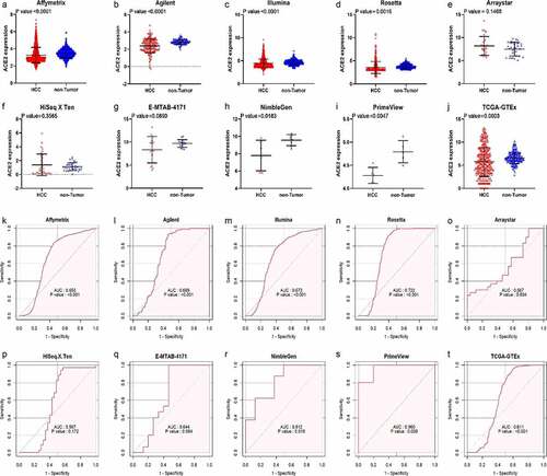 Figure 3. Jitter plots and receiver operating characteristic (ROC) curves of all high-throughput datasets from public databases. Panels a–j the jitter plots of the 10 datasets. Panels k–t: receiver operating characteristic (ROC) curves of the 10 mRNA datasets