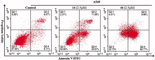 Figure 4. Cell apoptosis analysis on A549 cells treated with compounds 14 and 44 at 2.5 μM detected by FCM.