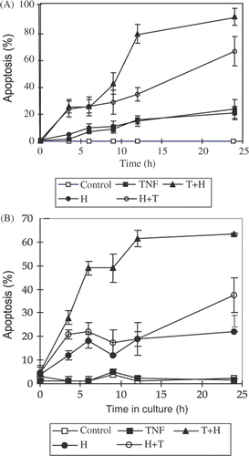 Figure 2. The kinetics of apoptosis induced by TNF-α, hyperthermia and their combination treatments on L929 and rL929 cells. The percentage of apoptosis induced by different treatments was detected by flow cytometer after staining DNA in single cell with propidium iodine (PI). The procedures of different treatments including TNF-α, H, T + H and H + T are the same as in Figure 1. The data presented are the mean and standard deviation of three independent determinations. (A) L929 cells, (B) rL929 cells.