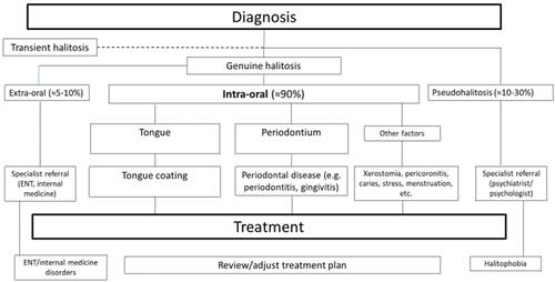 Figure 3 Schematic flowchart for the classification and diagnosis of halitosis.Note: Adapted from Seemann R, Conceicao MD, Filippi A, et al. Halitosis management by the general dental practitioner–results of an international consensus workshop. J Breath Res. 2014;8(1):017101. Creative commons license and disclaimer available from: https://creativecommons.org/licenses/by/3.0/.Citation5Abbreviation: ENT, ear, nose, throat.