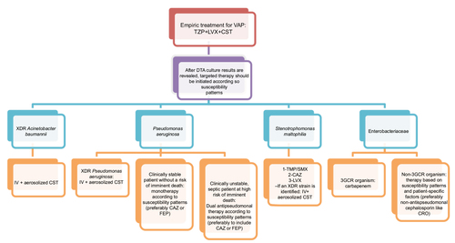 Figure 2 Our proposed treatment algorithm for empiric and targeted treatment of VAP.