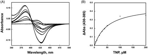 Figure 3. Interaction of CYP3A4 and TNP. (A) Type I spectral shift induced by TNP interaction with CYP3A4. (B) Determination of TNP dissociation constant.