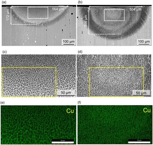 Figure 5. SEM observations of cross-sections for (a, c) single-track surface remelted AA7075 without ultrasonic treatment under low and high magnifications, respectively, (b, d) single-track surface remelted AA7075 with ultrasonic treatment, under low and high magnifications, respectively, (e, f) Cu distributions within yellow boxes in high magnification images for AA7075 without and with treatment.