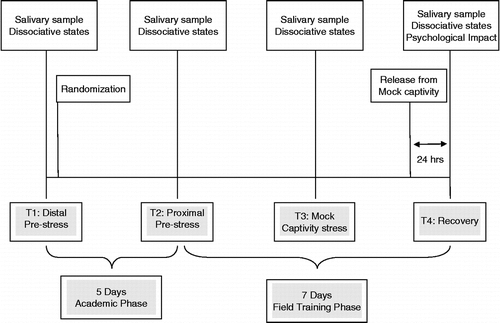 Figure 1.  Study timeline.